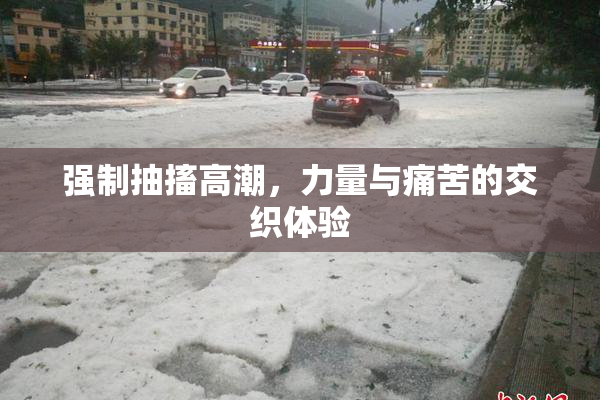强制抽搐高潮，力量与痛苦的交织体验