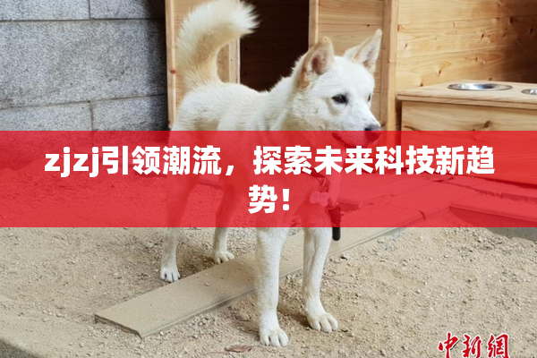 zjzj引领潮流，探索未来科技新趋势！