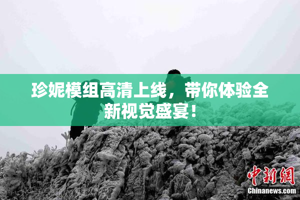 珍妮模组高清上线，带你体验全新视觉盛宴！