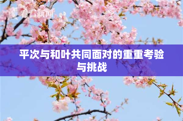 平次与和叶共同面对的重重考验与挑战