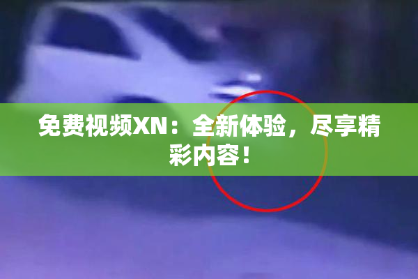 免费视频XN：全新体验，尽享精彩内容！