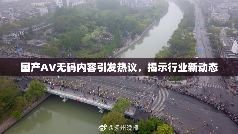 国产AV无码内容引发热议，揭示行业新动态