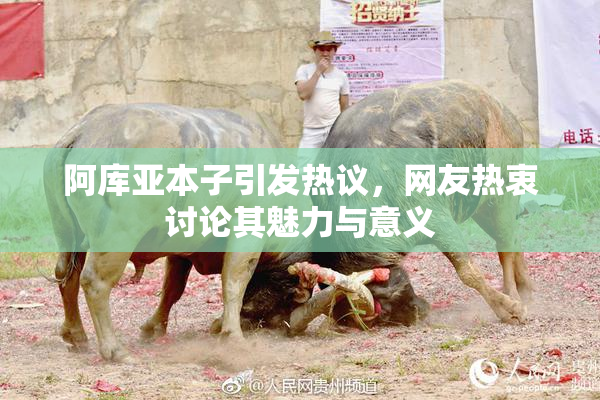 阿库亚本子引发热议，网友热衷讨论其魅力与意义