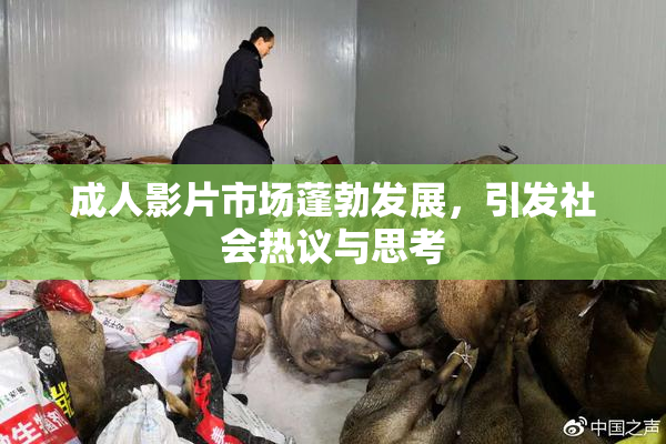 成人影片市场蓬勃发展，引发社会热议与思考