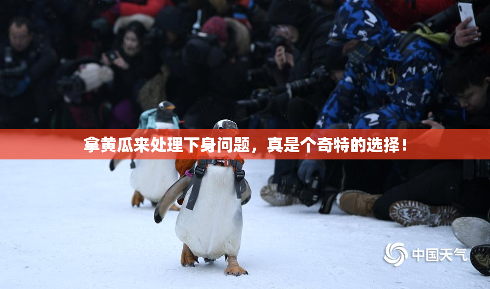 拿黄瓜来处理下身问题，真是个奇特的选择！