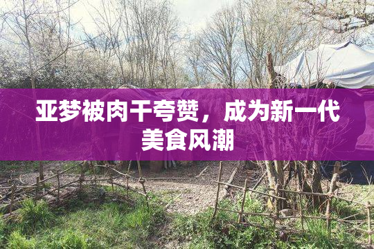 亚梦被肉干夸赞，成为新一代美食风潮