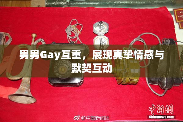 男男Gay互重，展现真挚情感与默契互动