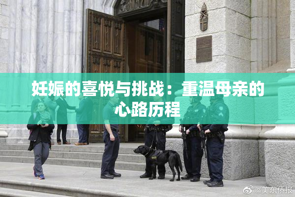妊娠的喜悦与挑战：重温母亲的心路历程