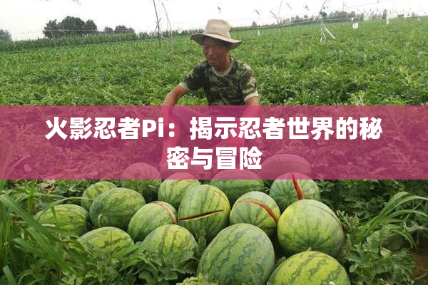 火影忍者Pi：揭示忍者世界的秘密与冒险