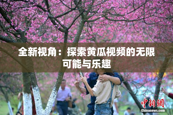 全新视角：探索黄瓜视频的无限可能与乐趣