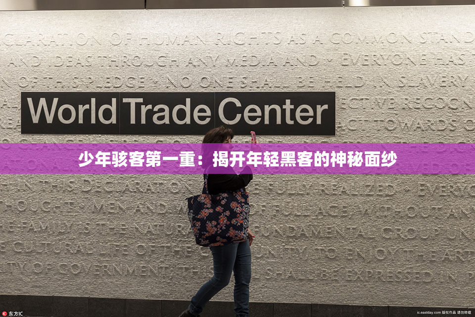 少年骇客第一重：揭开年轻黑客的神秘面纱