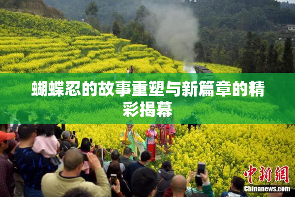 蝴蝶忍的故事重塑与新篇章的精彩揭幕