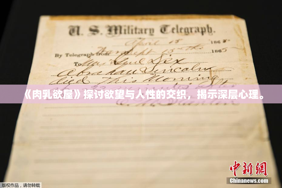 《肉乳欲屋》探讨欲望与人性的交织，揭示深层心理。