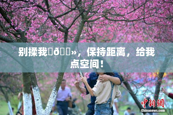 别揉我‌🐻，保持距离，给我点空间！