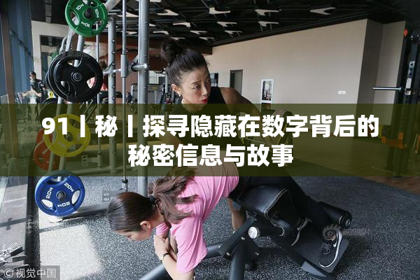 91丨秘丨探寻隐藏在数字背后的秘密信息与故事
