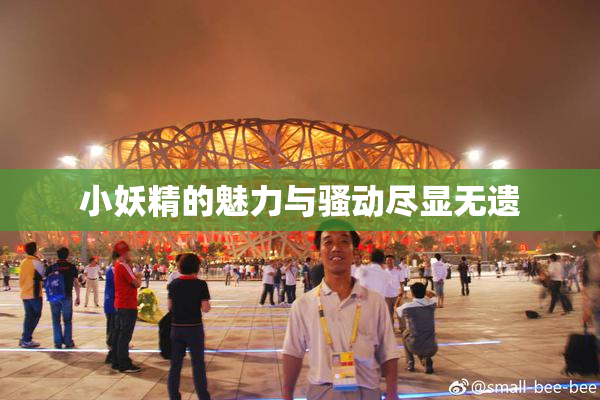 小妖精的魅力与骚动尽显无遗