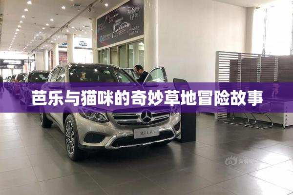 芭乐与猫咪的奇妙草地冒险故事