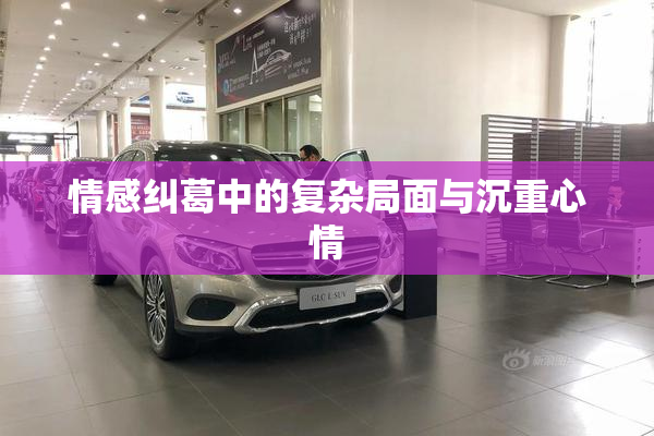 情感纠葛中的复杂局面与沉重心情
