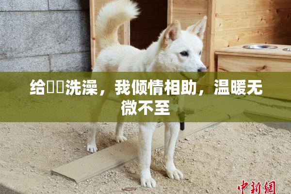 给妺妺洗澡，我倾情相助，温暖无微不至