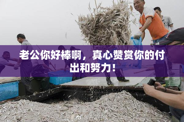 老公你好棒啊，真心赞赏你的付出和努力！
