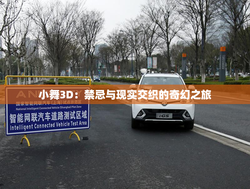 小舞3D：禁忌与现实交织的奇幻之旅
