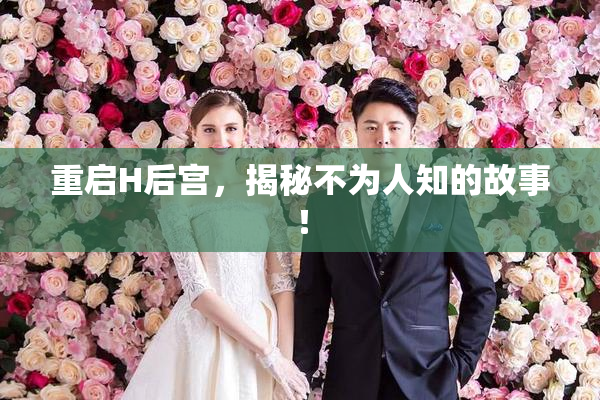 重启H后宫，揭秘不为人知的故事！