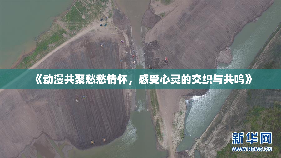 《动漫共聚愁愁情怀，感受心灵的交织与共鸣》