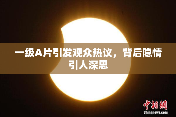 一级A片引发观众热议，背后隐情引人深思