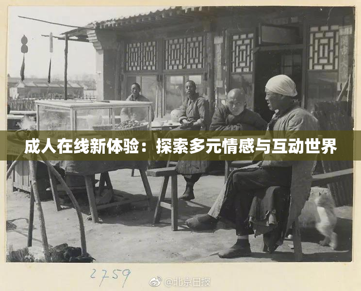 成人在线新体验：探索多元情感与互动世界