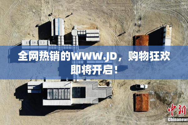 全网热销的WWW.JD，购物狂欢即将开启！