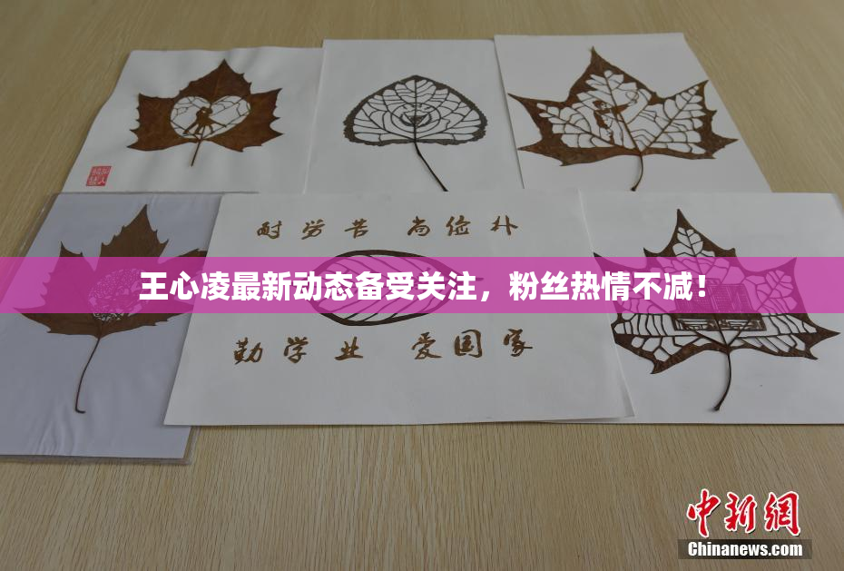 王心凌最新动态备受关注，粉丝热情不减！
