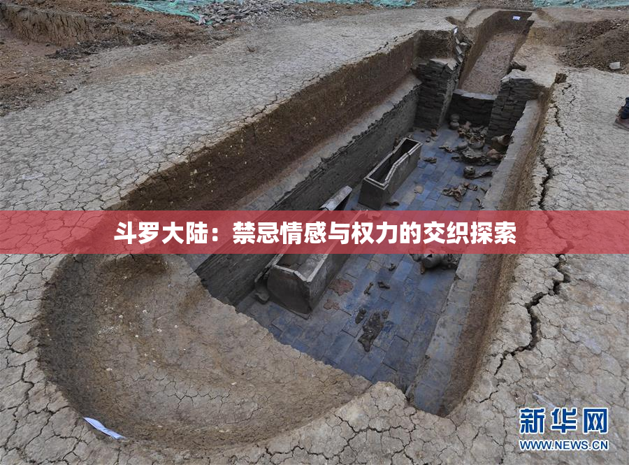 斗罗大陆：禁忌情感与权力的交织探索
