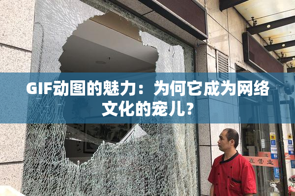 GIF动图的魅力：为何它成为网络文化的宠儿？
