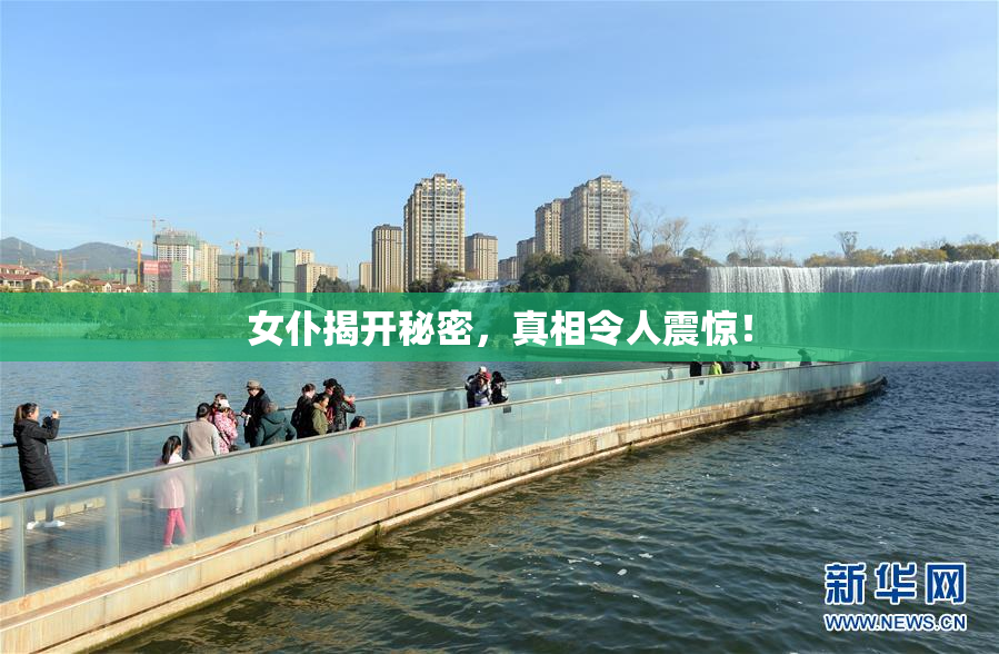 女仆揭开秘密，真相令人震惊！