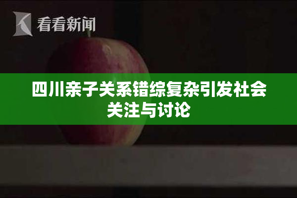 四川亲子关系错综复杂引发社会关注与讨论