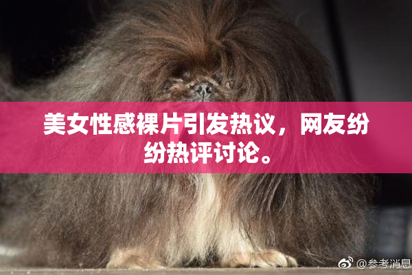 美女性感裸片引发热议，网友纷纷热评讨论。