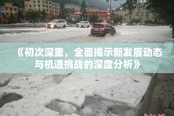 《初次深重，全面揭示新发展动态与机遇挑战的深度分析》