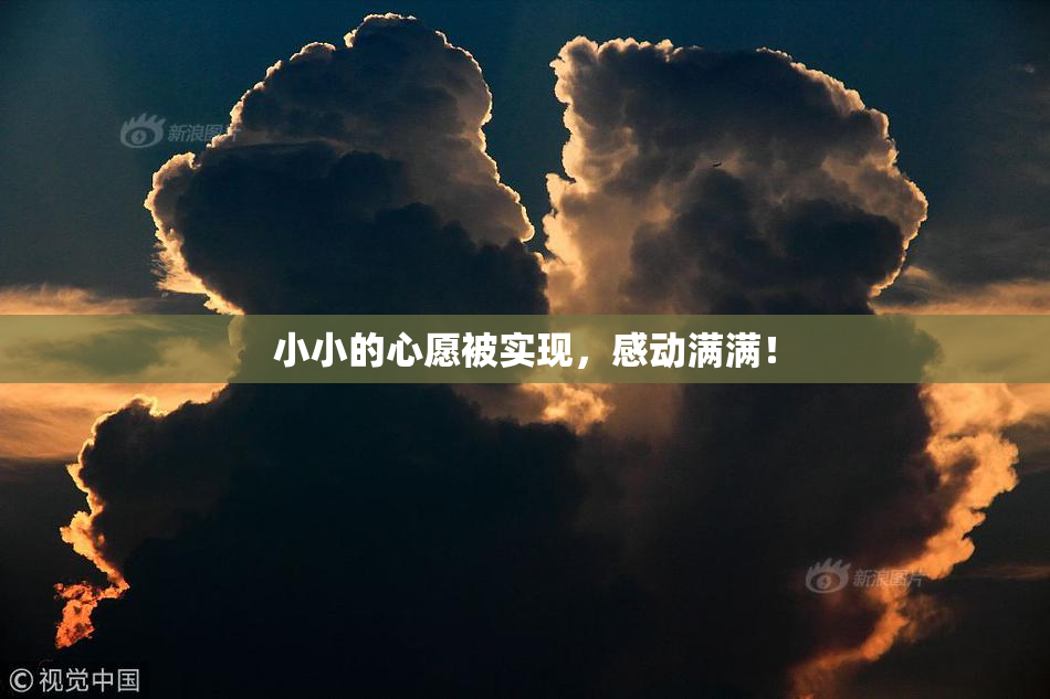 小小的心愿被实现，感动满满！