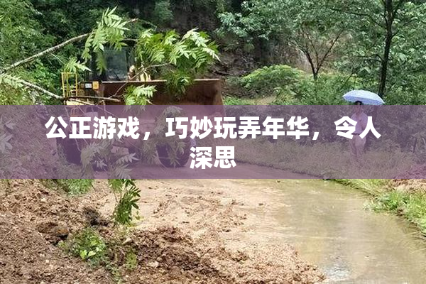 公正游戏，巧妙玩弄年华，令人深思
