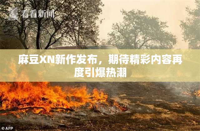 麻豆XN新作发布，期待精彩内容再度引爆热潮