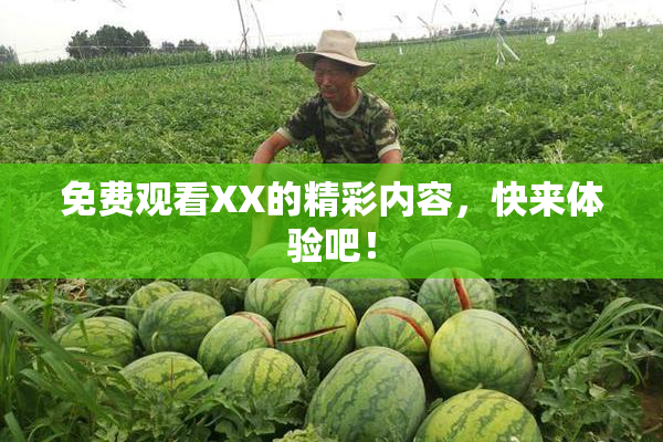 免费观看XX的精彩内容，快来体验吧！