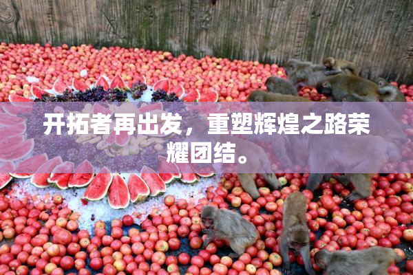 开拓者再出发，重塑辉煌之路荣耀团结。