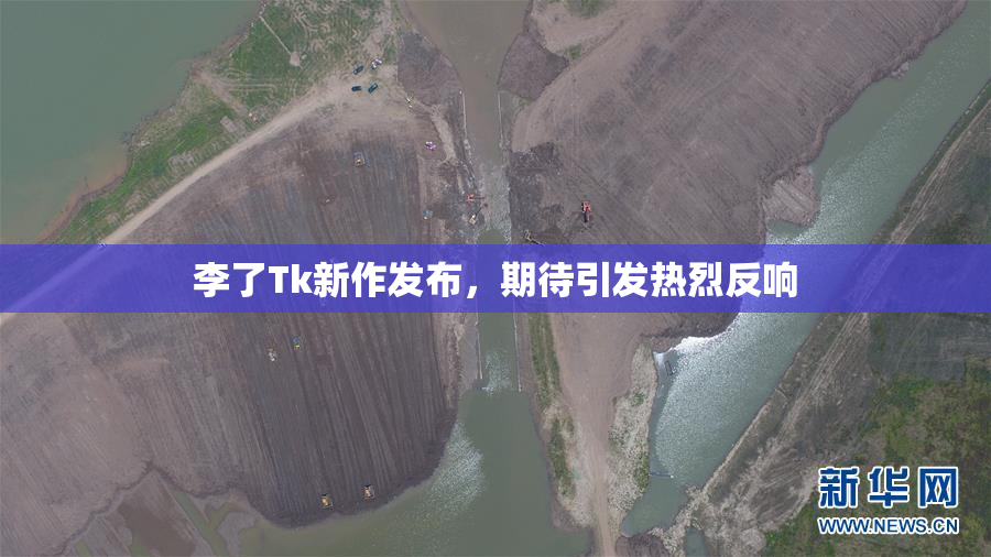 李了Tk新作发布，期待引发热烈反响