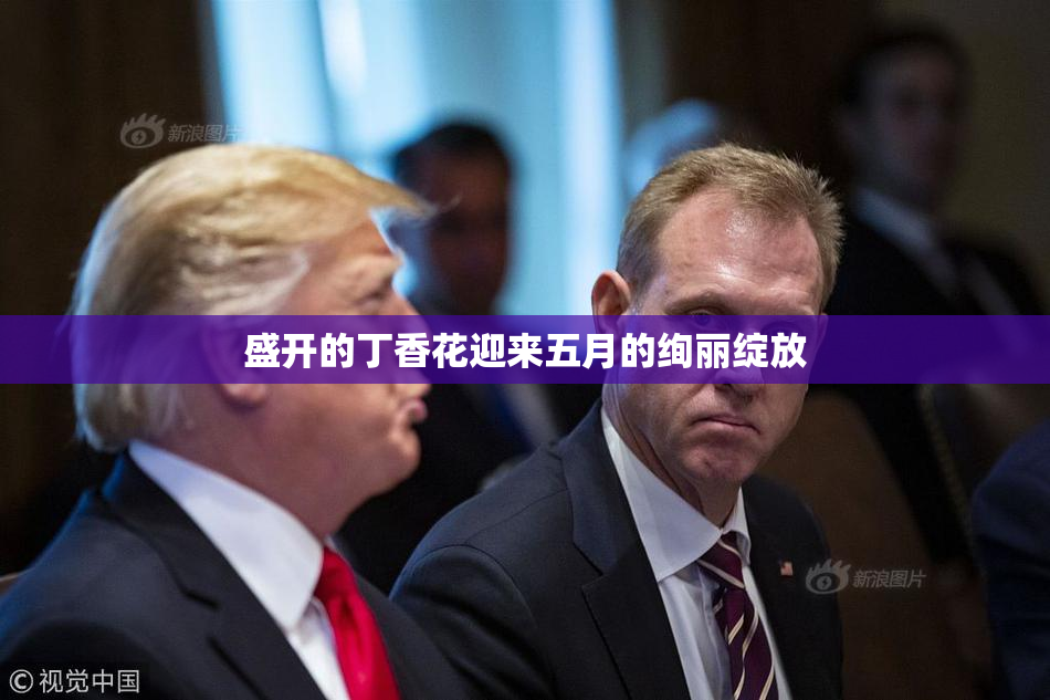 盛开的丁香花迎来五月的绚丽绽放