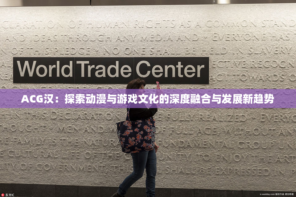ACG汉：探索动漫与游戏文化的深度融合与发展新趋势