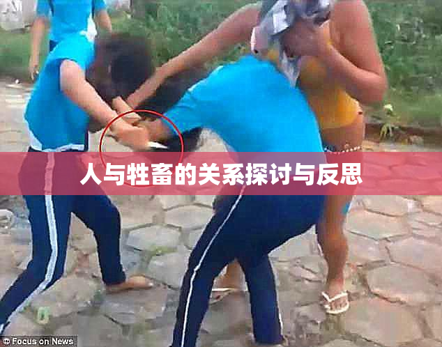 人与牲畜的关系探讨与反思