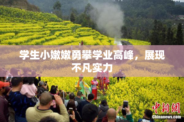 学生小嫩嫩勇攀学业高峰，展现不凡实力