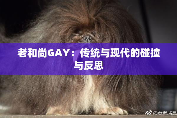 老和尚GAY：传统与现代的碰撞与反思
