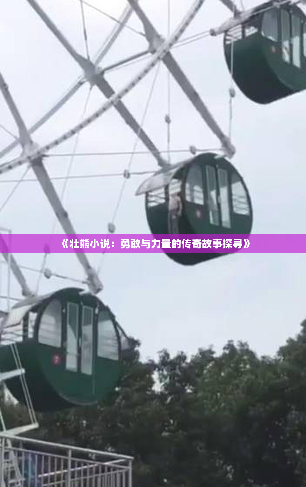 《壮熊小说：勇敢与力量的传奇故事探寻》