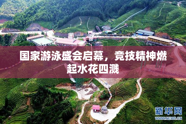 国家游泳盛会启幕，竞技精神燃起水花四溅